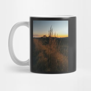 Sunset in Brazilian National Park (Chapada dos Veadeiros, Goias) Mug